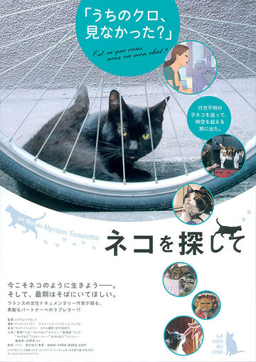 La voie du chat (2009)