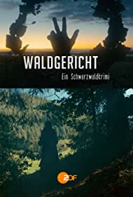 Waldgericht - Ein Schwarzwaldkrimi (-...)