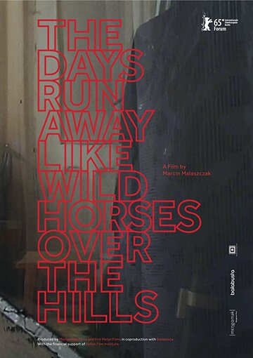 The Days Run Away Like Wild Horses Over the Hills (2015)