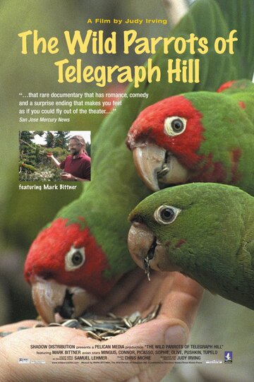 Дикие попугаи с Телеграф Хилл (2003)