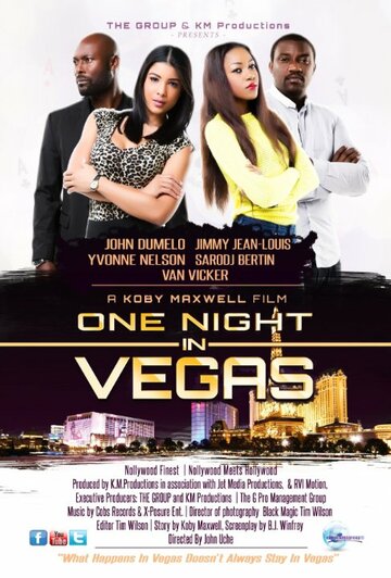 One Night in Vegas (2013)