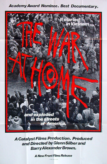 Домашняя война (1979)