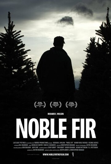 Noble Fir (2014)