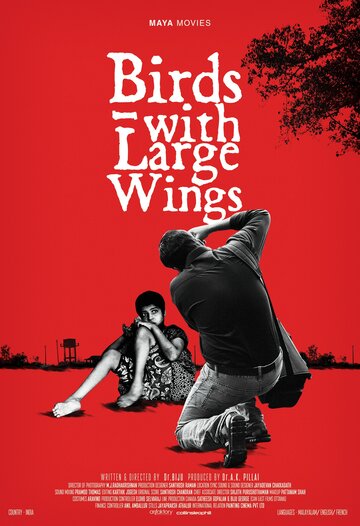 Птицы с большими крыльями (2015)